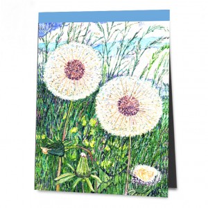 /1044-1665-thickbox/turkischer-mohn.jpg