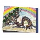 Sade-Baum mit Regenbogen