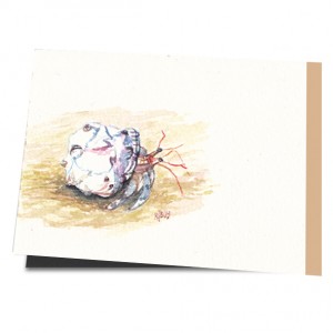 /3304-5977-thickbox/sonnenblumen.jpg