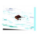 Fische des Atlantiks