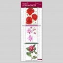 S1-L3-1-Blütenfunken