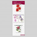 Blütenfunken_klassik