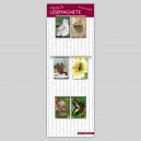 Kleine Nachbarn_mini