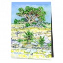 Steilküste mit Bäumen am Komos Beach