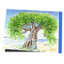 Schöne, alte Tamariske in Plakias