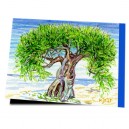 Sch&ouml;ne, alte Tamariske in Plakias