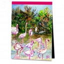 Flamingos im Vogelpark 'Pont de Gau'