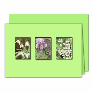 /679-1337-thickbox/blumenpoesie.jpg