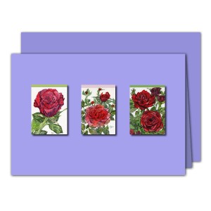 /682-1344-thickbox/sommergruss.jpg