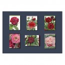 Rosenrot Sextett