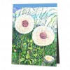 Türkischer Mohn