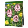 Kretische Blumen