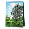 Das Haus mit seinem großen Baum