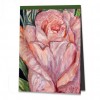 Rosentulpe