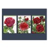 Rosenrot Trio