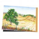 Korkeiche im Alentejo